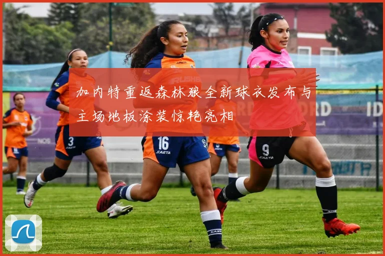 加内特重返森林狼全新球衣发布与主场地板涂装惊艳亮相